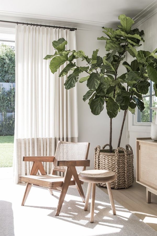 Noosa Interior Design greenery touch
